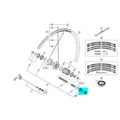 Shimano Cone Droit Moyeu Arrière Shinamo WH-RS11/RS20-A/RS30/RS80 - Y4EW98080
