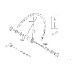 Rayon Shimano Ultegra WH6700 - Avant (x1)
